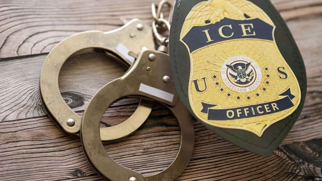 Polícia ICE, EUA - Mehaniq / Shutterstock.com