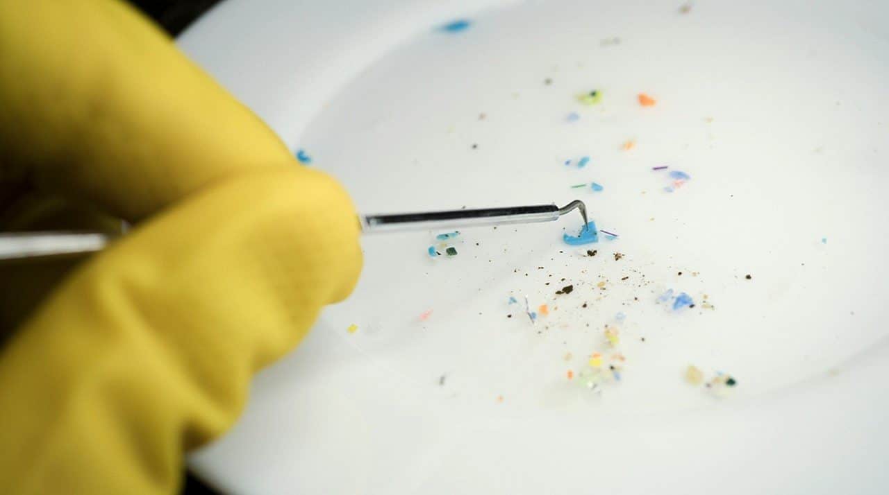 Resíduos plásticos - Svetlozar Hristov/ Istockphoto.com