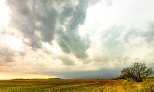 Super El Ni&ntilde;o - Alexandree/Shutterstock.com