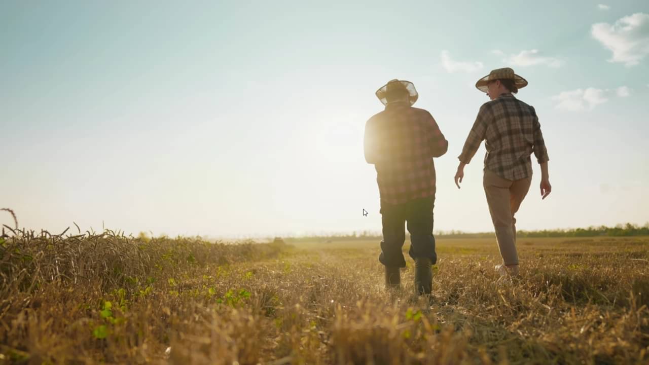 Trabalhador rural, agricultores - Serg Grbanoff / shutterstock.com