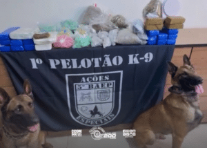 Cão farejador Thor auxilia BAEP na apreensão de 25,7 kg de maconha e ice no Ipiranga, zona sul de SP