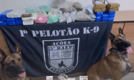 Cão farejador Thor auxilia BAEP na apreensão de 25,7 kg de maconha e ice no Ipiranga, zona sul de SP