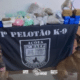 Cão farejador Thor auxilia BAEP na apreensão de 25,7 kg de maconha e ice no Ipiranga, zona sul de SP