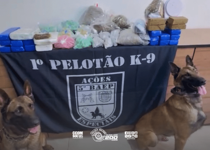 Cão farejador Thor auxilia BAEP na apreensão de 25,7 kg de maconha e ice no Ipiranga, zona sul de SP