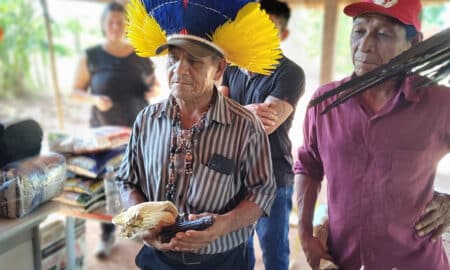 Trabalho e ciência: milho sagrado volta a germinar em aldeias Avá Guarani no PR
