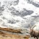 alpes - Kelly vanDellen - shutterstock.com
