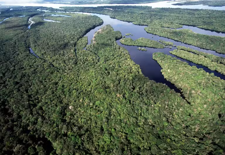 Brasil anuncia as maiores quedas históricas no desmatamento da Amazônia e do Cerrado