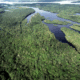 Brasil anuncia as maiores quedas históricas no desmatamento da Amazônia e do Cerrado