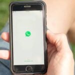Aplicativo WhatsApp, celular - Daria Nipot / Shutterstock.com