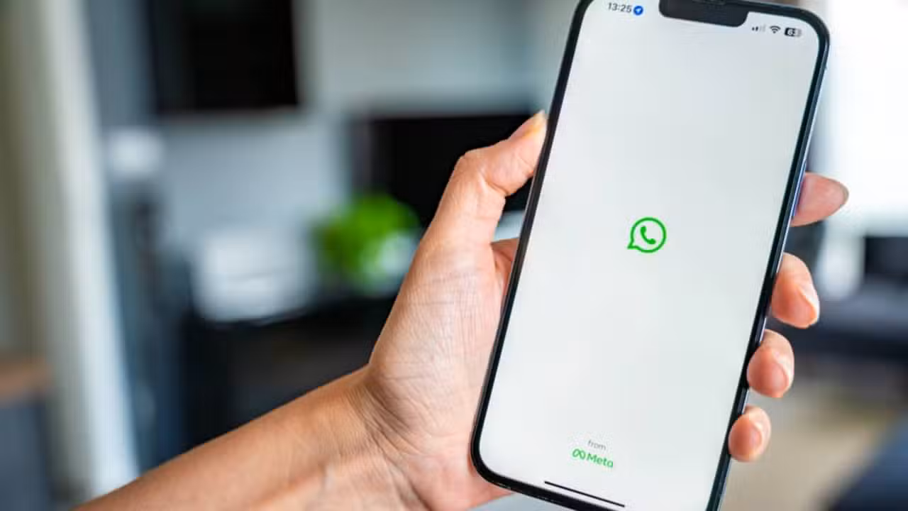 Aplicativo WhatsApp - Tatiana Diuvbanova / Shutterstock.com