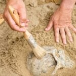 Arqueólogo, Antropologia - microgen/ istockphoto.com