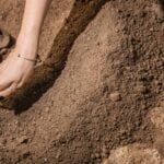 Arqueólogo, arqueologia - Microgen/shutterstock.com