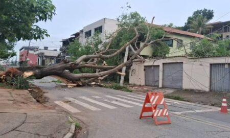 Minas Gerais: mais de 230 mil imóveis seguem sem luz e Cemig registra maior dano em 74 anos