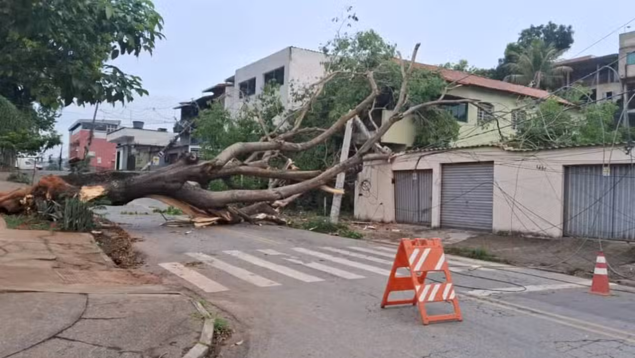 Árvore no bairro Acaiaca, em BH, atinge fiação elétrica e muro de casa após temporal intenso - Thiago Silva/ TV Globo