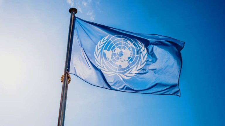 Bandeira da ONU - Rebel Red Runner / shutterstock.com