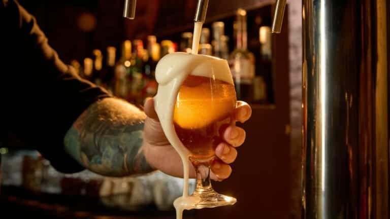 Bebida alcoolica, cerveja - Anton Vierietin/shutterstock.com