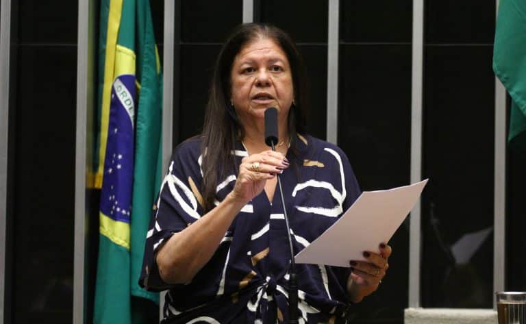 Laura Carneiro, relatora do projeto de lei