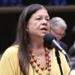 Laura Carneiro: proposta confere clareza jurídica às resoluções do Banco Central