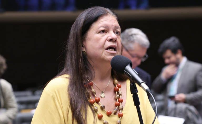 Laura Carneiro: proposta confere clareza jurídica às resoluções do Banco Central