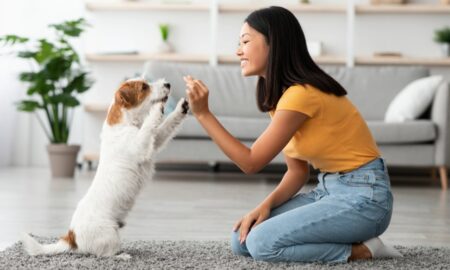 Cão, cachorro e jovem mulher - Prostock-studio/shutterstock.com
