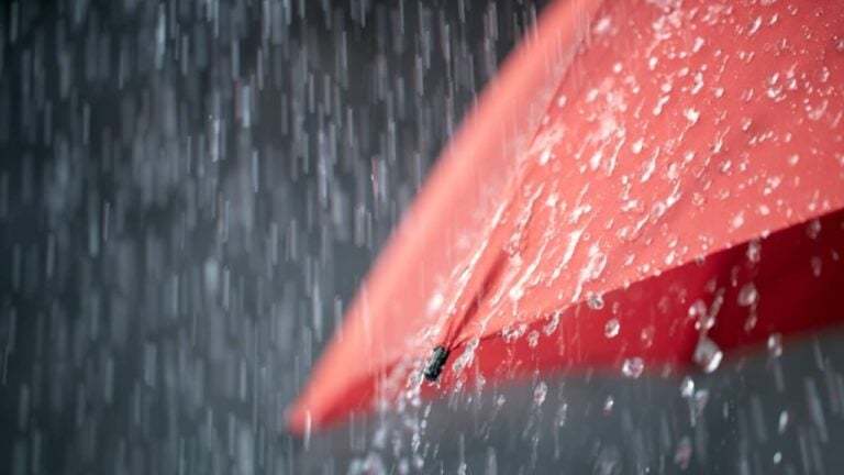 Chuva, guarda-chuva - Brian A Jackson/ shutterstock.com