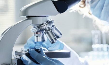 Microrganismo Ministeria vibrans revela elo da origem animal