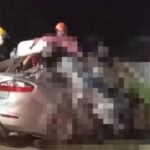 Colisão entre carro e caminhão deixa 4 mortos e 3 feridos em SC - Reprodução