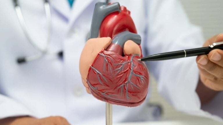Coração cardiologista - sasirin pamai - shutterstock.com