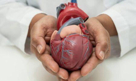 Coração humano - sasirin pamai / shutterstock.com