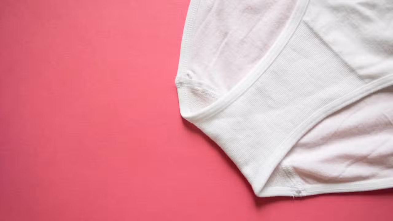 Cueca branca - Elena Babanova / shutterstock.com