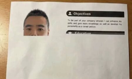 Currículo incompleto que viralizou - Reprodução