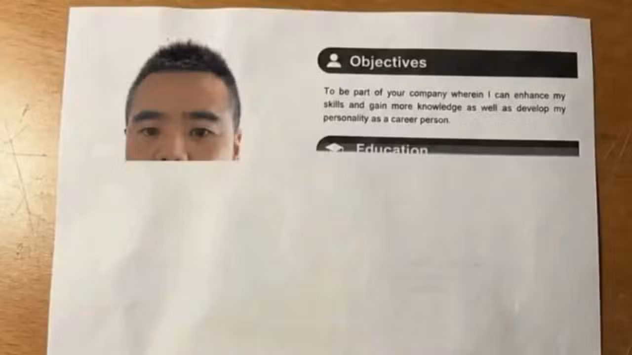 Currículo incompleto que viralizou - Reprodução