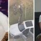 DJ conhecido como Dani Brasil - Reprodução/Redes Sociais