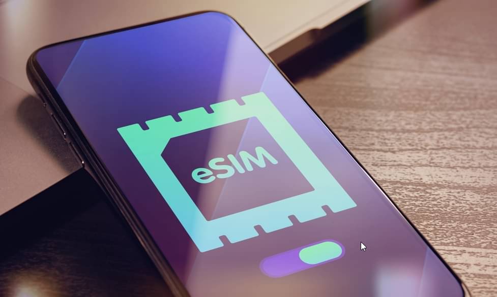 esim - BestForBest/Shutterstock.com