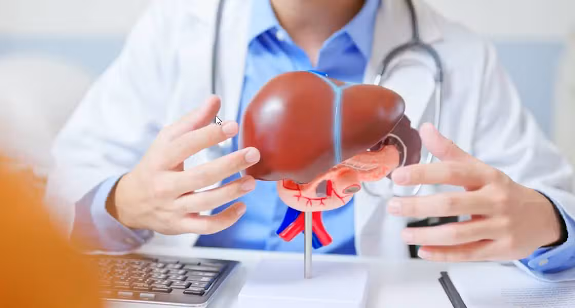 Esteatose hepática - PonyWang/istockphoto.com