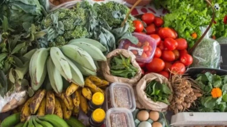 Feira de Alimentos Agroecológicos e Artesanatos - Divulgação
