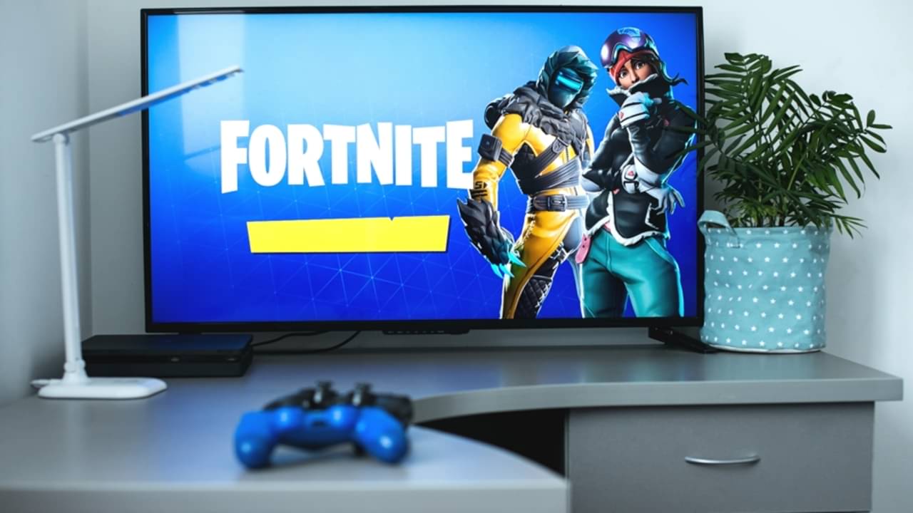 Fortnite - Irina Zharkova31 / Shutterstock.com