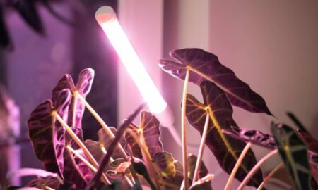 Fotossíntese artificial gera combustível solar sem baterias no Japão