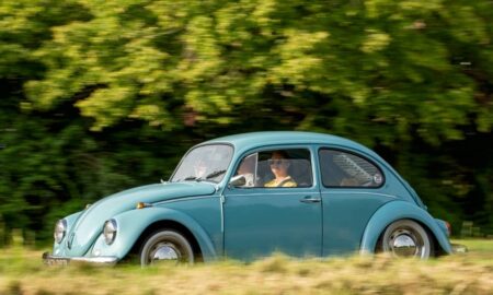 fusca - Sue Thatcher / Shutterstock.com