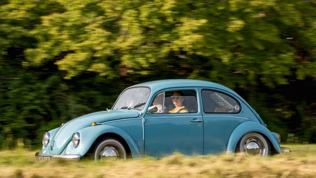 fusca - Sue Thatcher / Shutterstock.com