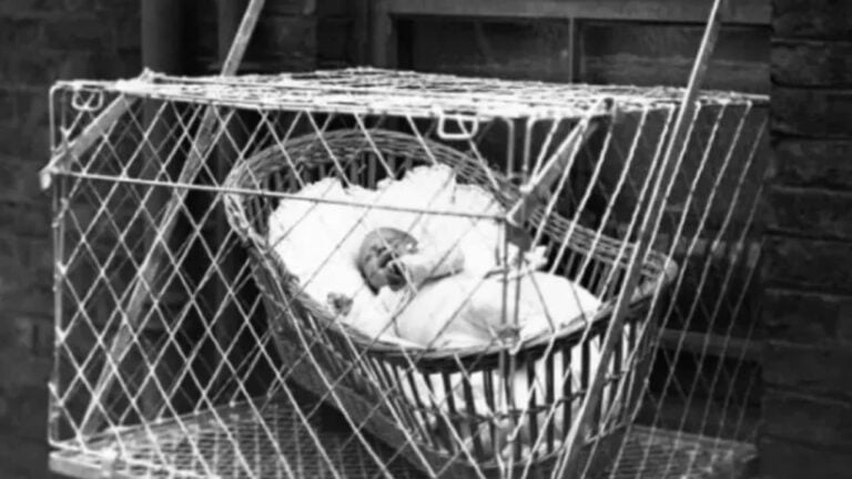 Gaiolas para bebês em janelas no Reino Unido - Reprodução