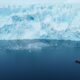 Geleiras, Oceano Antártico - Oleksandr Matsibura/ istockphoto.com