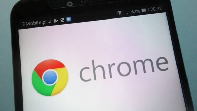 Google Chrome - Piotr Swat / Shutterstock.com