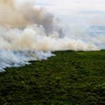 MP promove ações contra queimadas na Amazônia