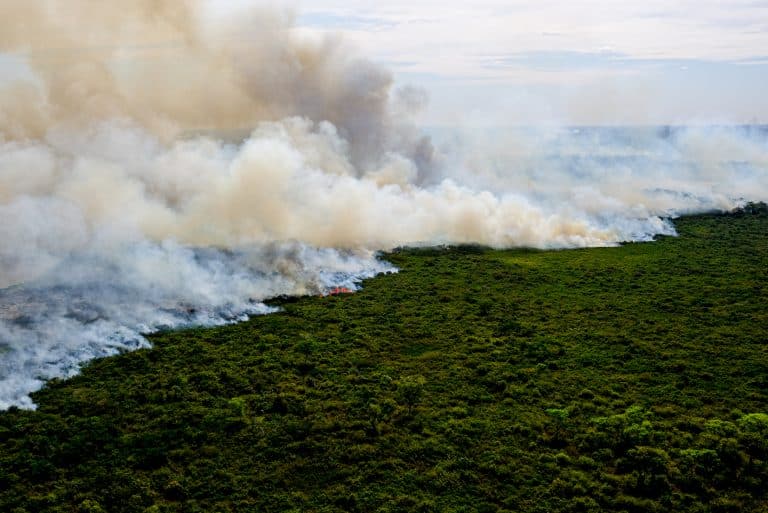 MP promove ações contra queimadas na Amazônia