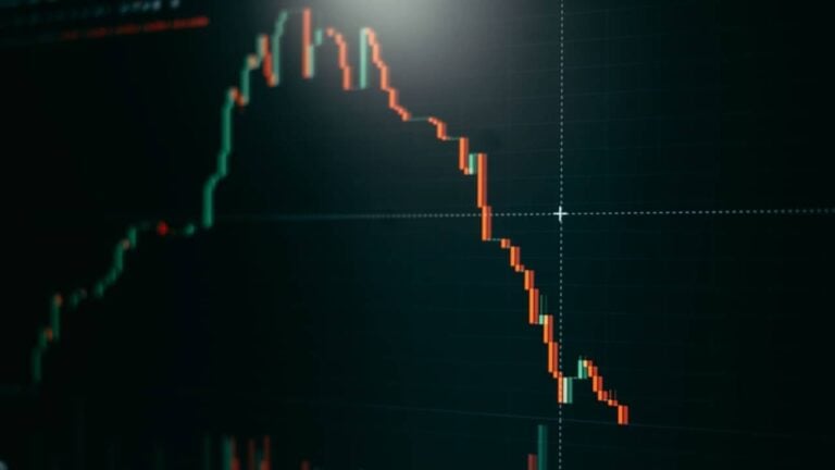 Gráfico do mercado de ações - Sergio Photone/shutterstock.com
