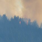 Incêndio Floresta - EB Adventure Photography - shutterstock.com