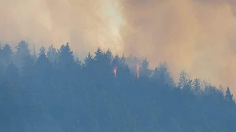 Incêndio Floresta - EB Adventure Photography - shutterstock.com