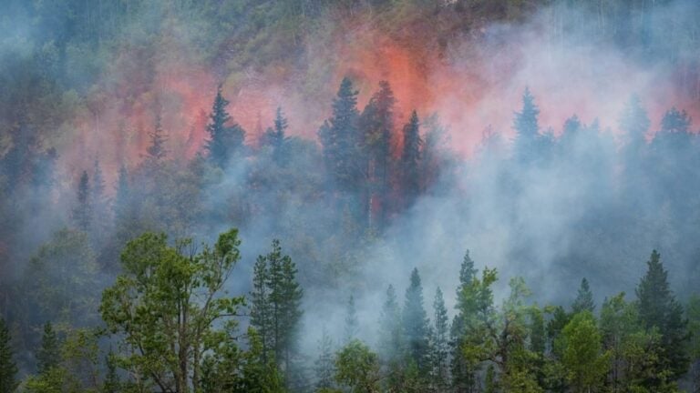 Incêndio Florestal - istockphoto.com