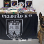 Itapecerica da Serra: cão farejador Thor localiza 24,4 kg de drogas enterradas em área de mata na Vila Geni